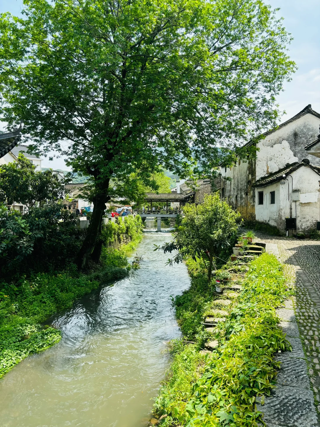 迄今为止,我最喜欢的春日小城出现了!!!