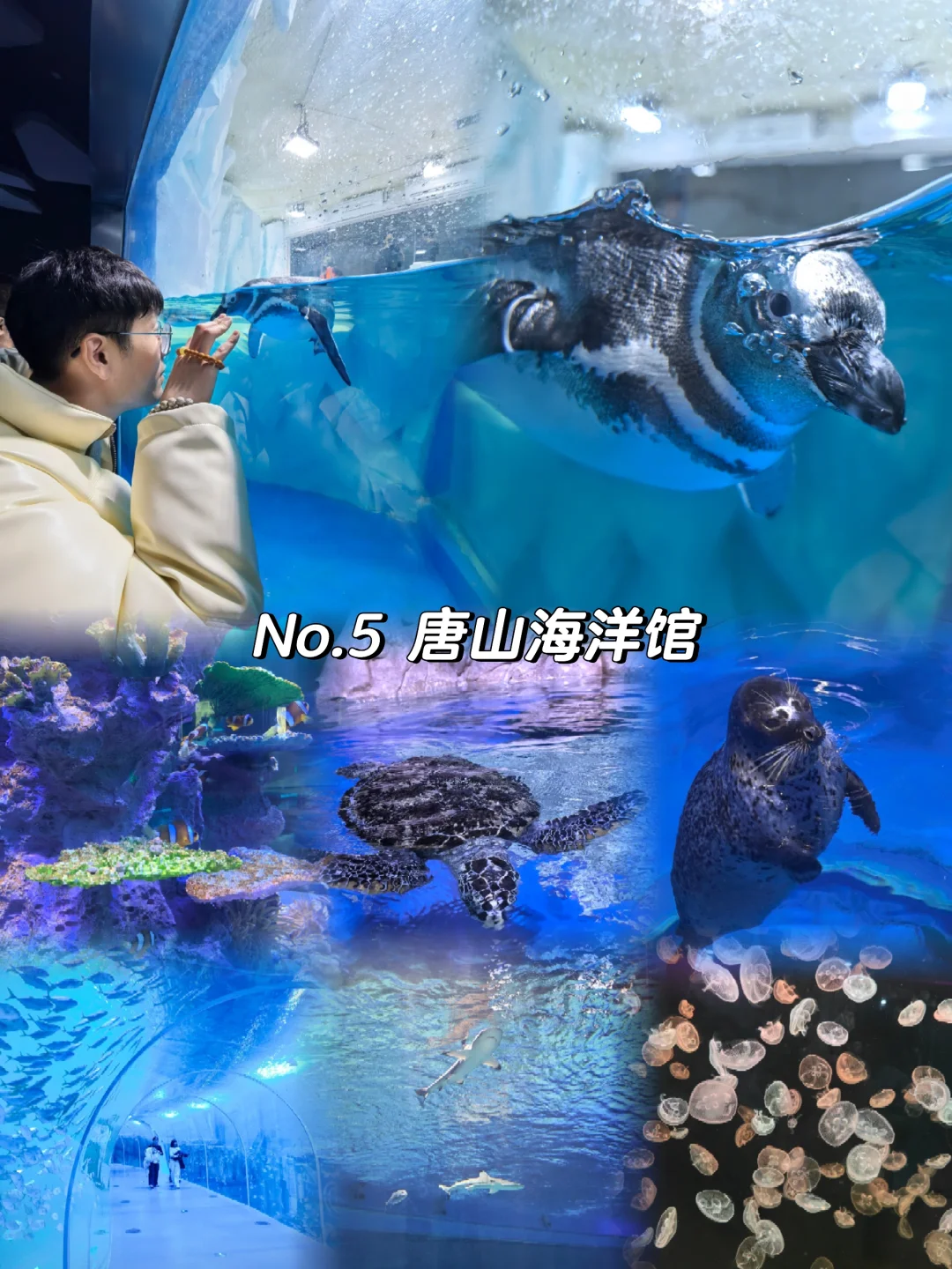 唐山📍必打卡的几大景区😎