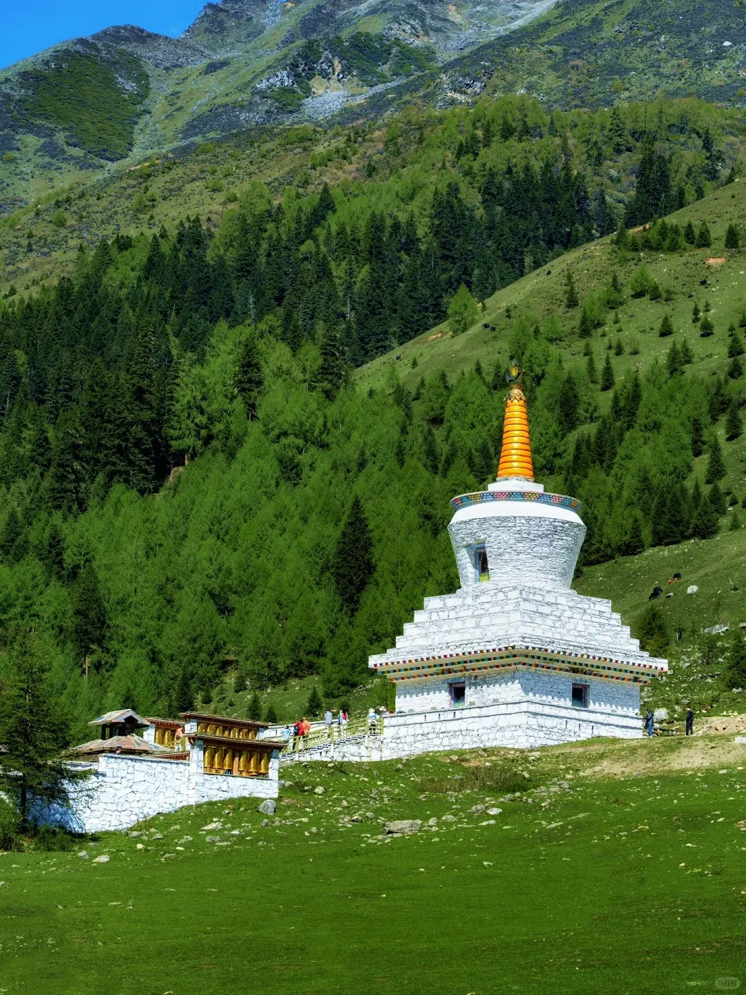 四姑娘山豪赌成功！美过瑞士🏞的夏日氧吧‼️