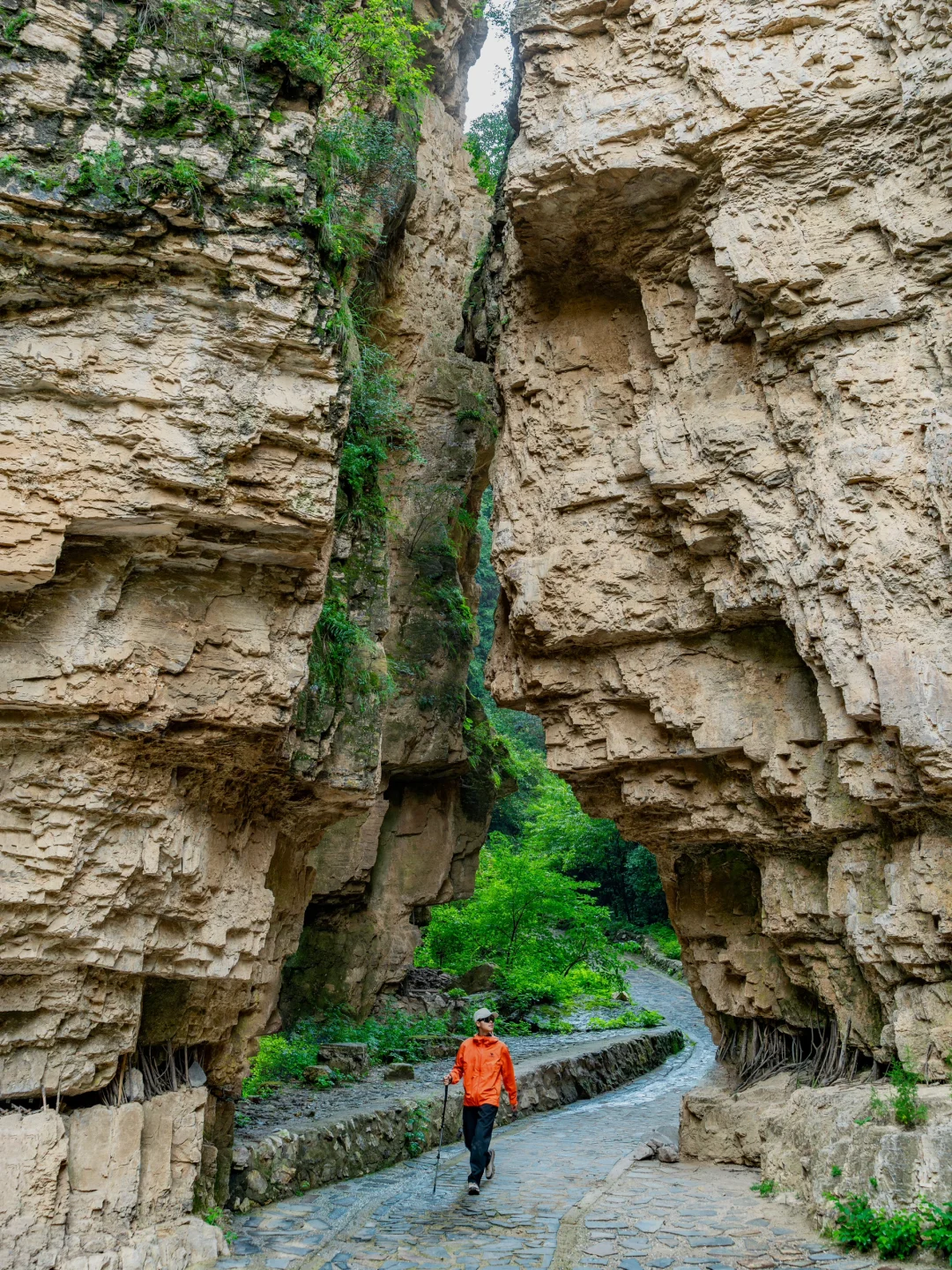 北京上春山!时隔半年的神仙大峡谷开放了🌿