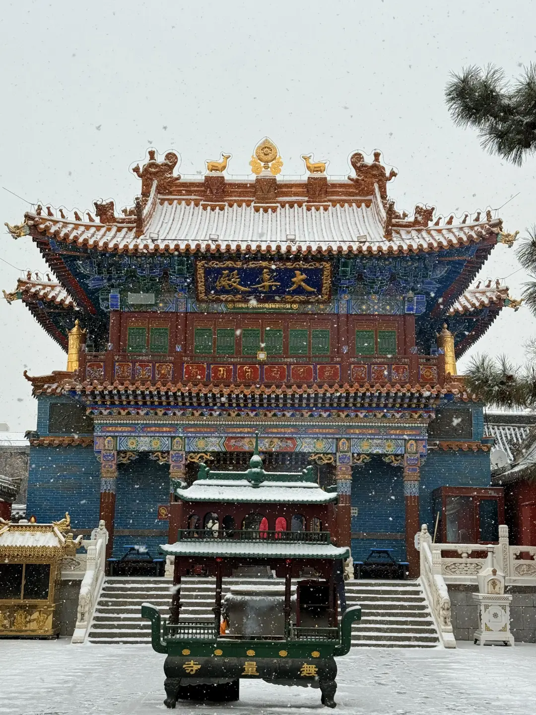 小红书跟风最成功的一次❗️不是瑞士是内蒙古