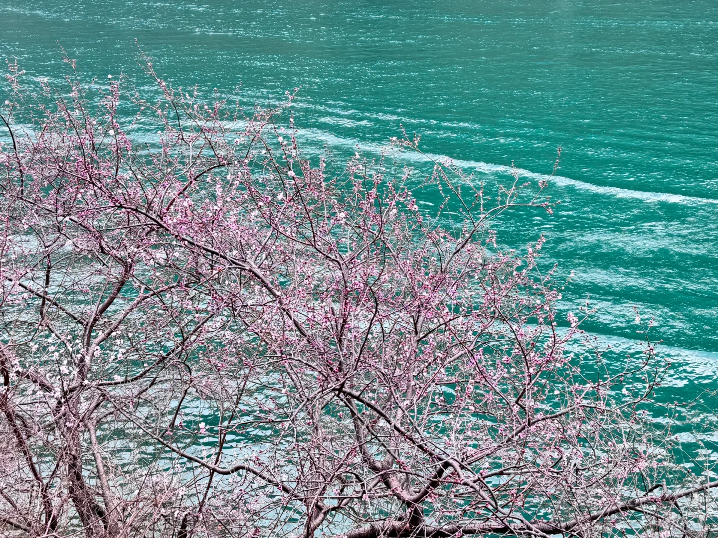 河南新乡宝泉一日游 一人超级随心版