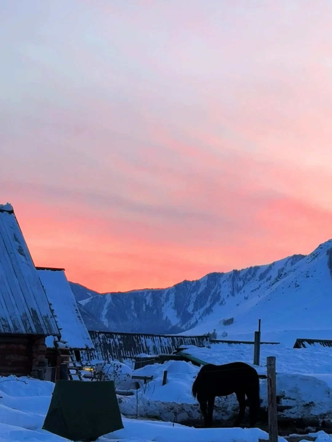 抱到香香软软的祥瑞了