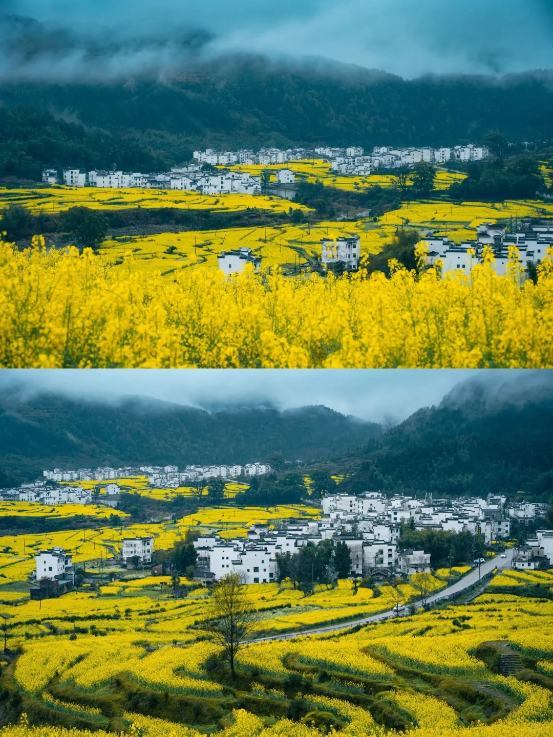 接下来的徽州，春和景明