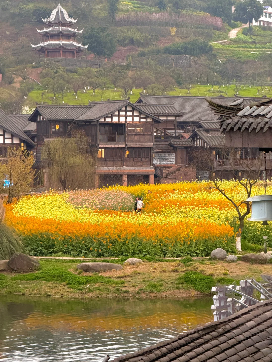 以为宜宾够美了...直到去了免费莫奈花园💐