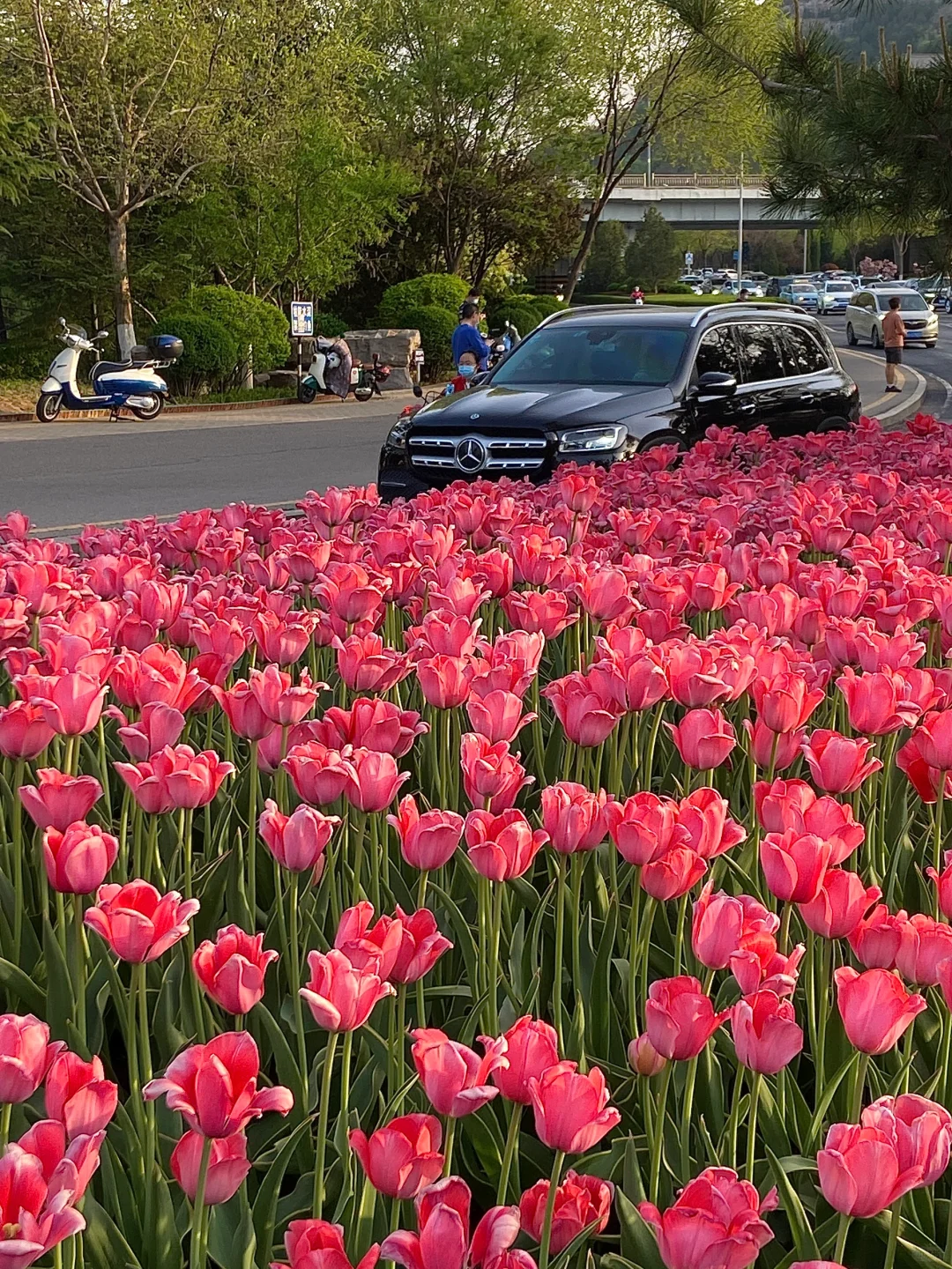 济南。。。果然最牛逼的地方都是免费的！（合集）
