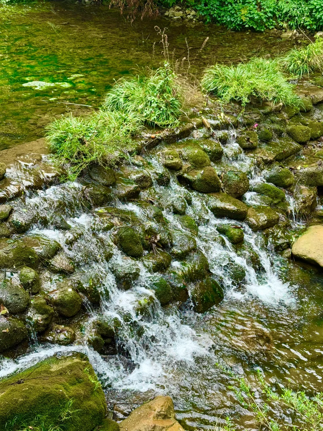 大峡谷真的是张家界最值得去的景区！（live图