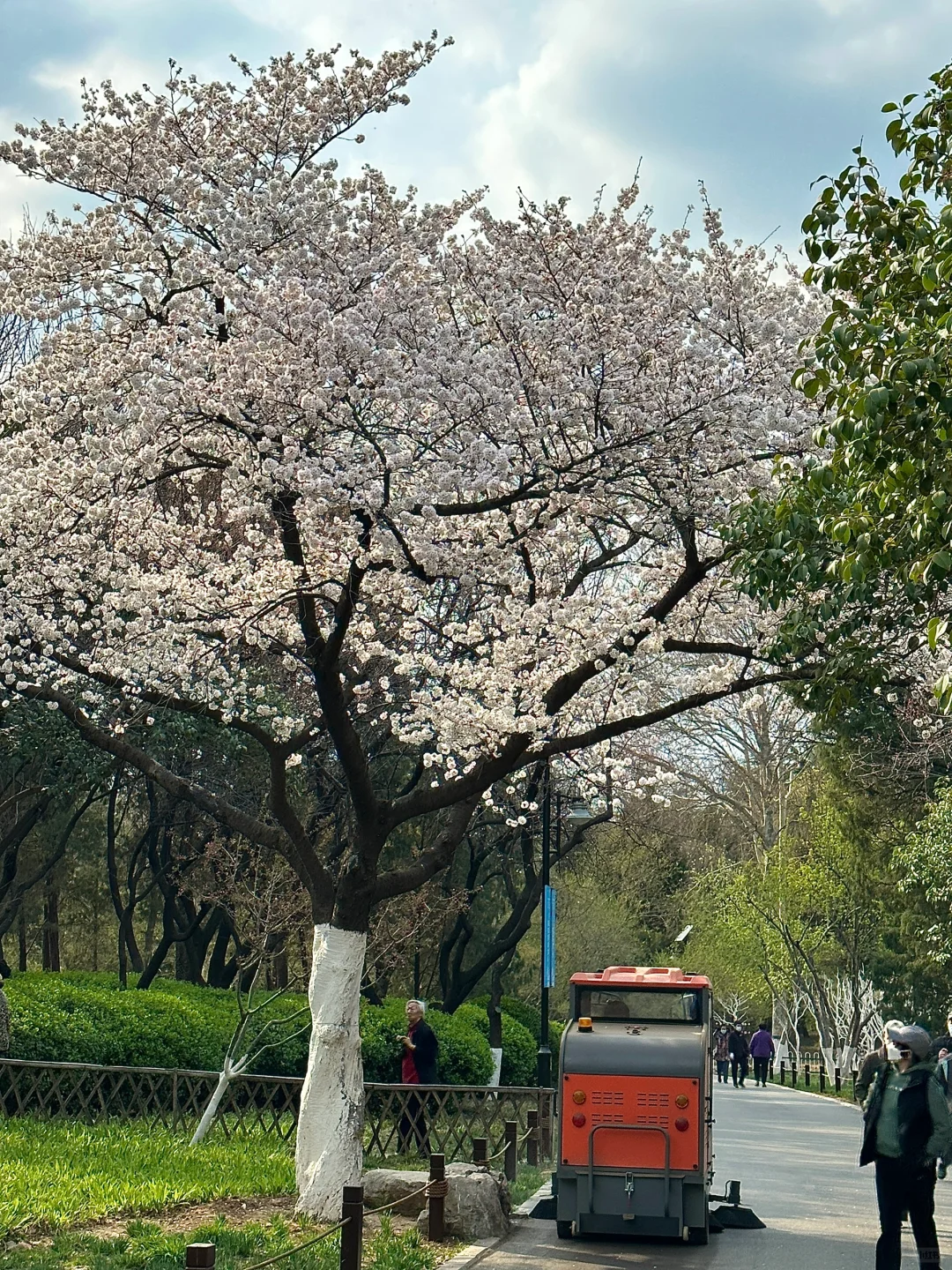 济南。。。果然最牛逼的地方都是免费的！（合集）