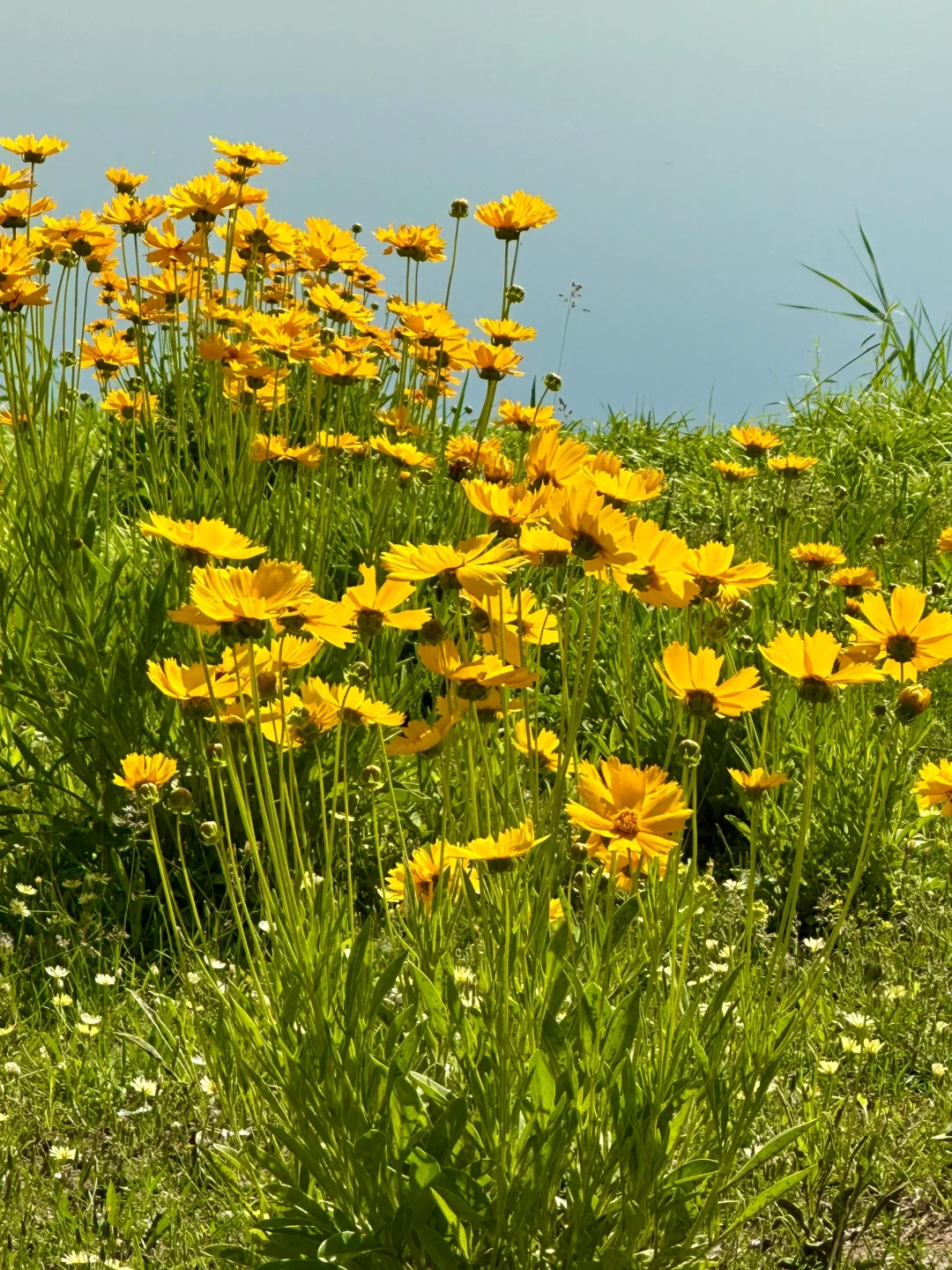济南。。。果然最牛逼的地方都是免费的！（合集）