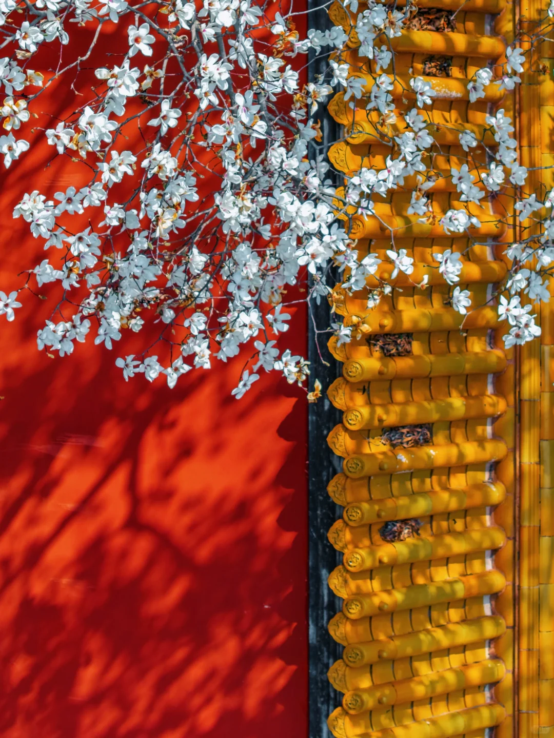 以为朝天宫已够美了，直到我去了一趟这里…