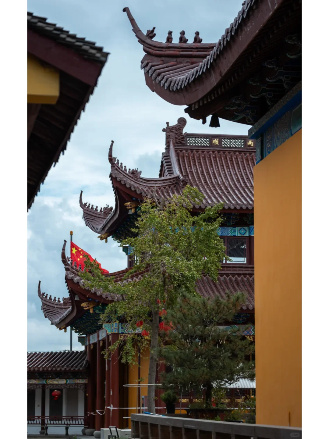 探秘普陀山碧云净院：禅意秘境全攻略