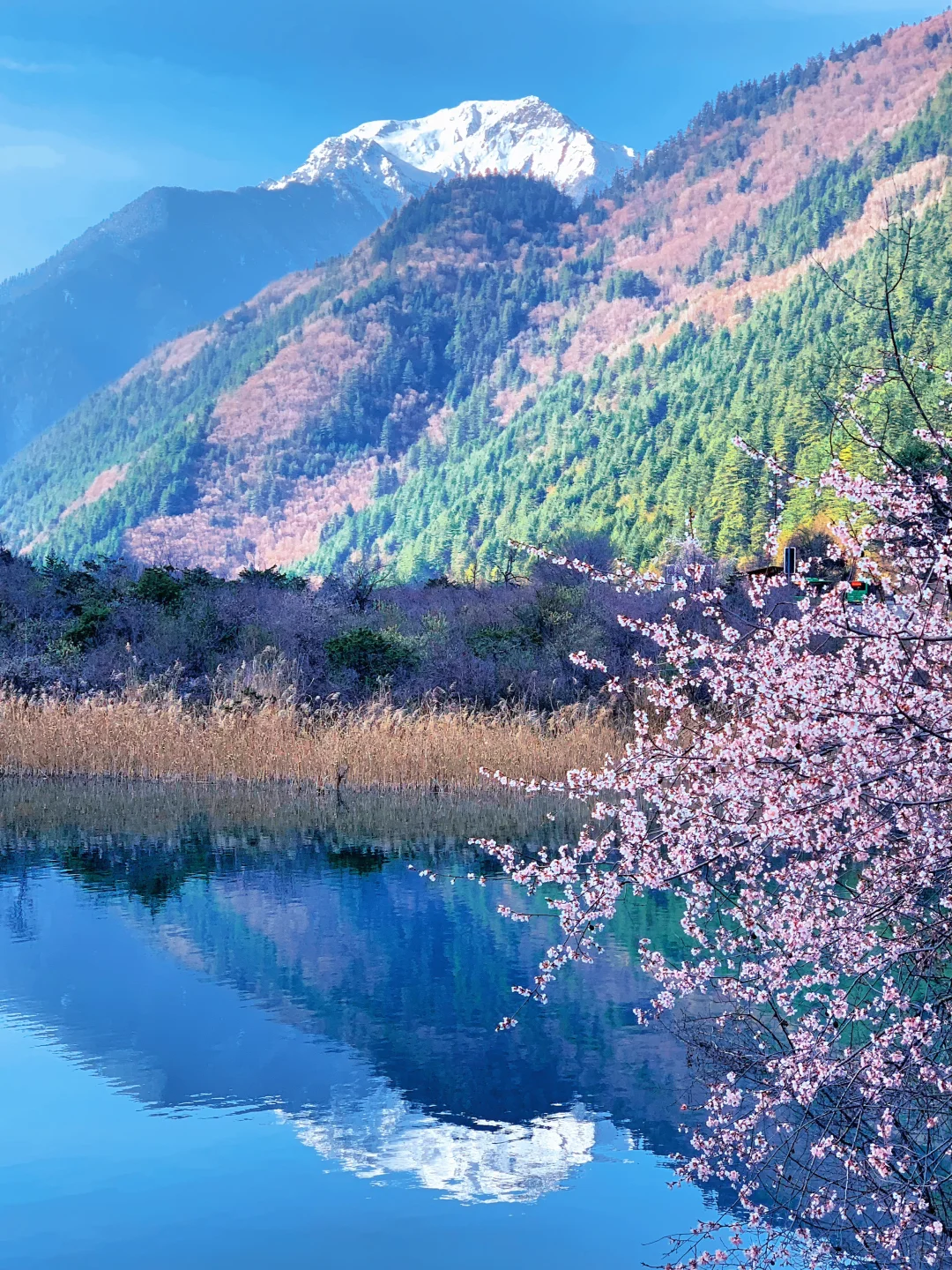 不愧是5A级景区的天花板👍接下来美到爆炸💥