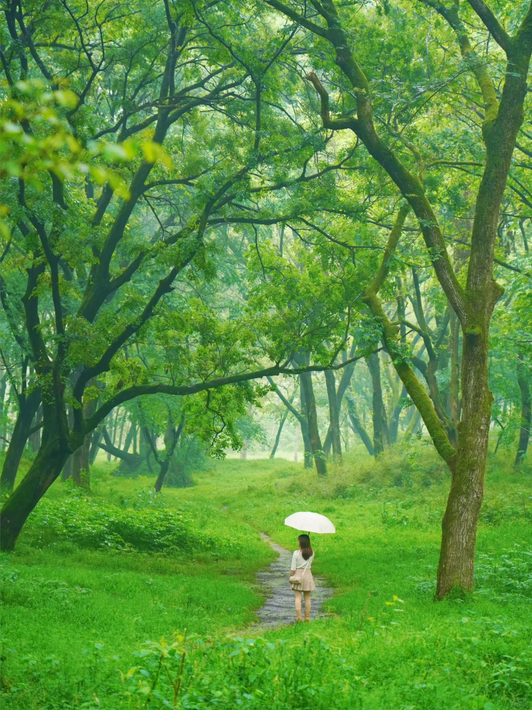 迄今为止,我最喜欢的春日小城出现了!!!