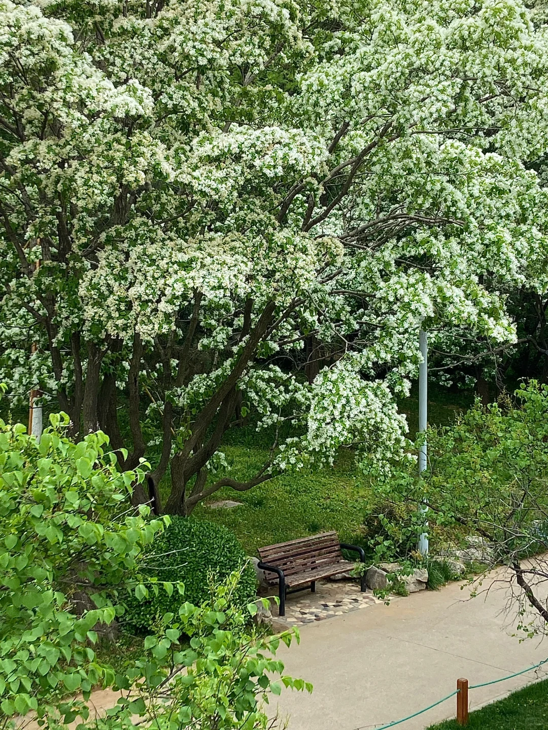 济南。。。果然最牛逼的地方都是免费的！（合集）