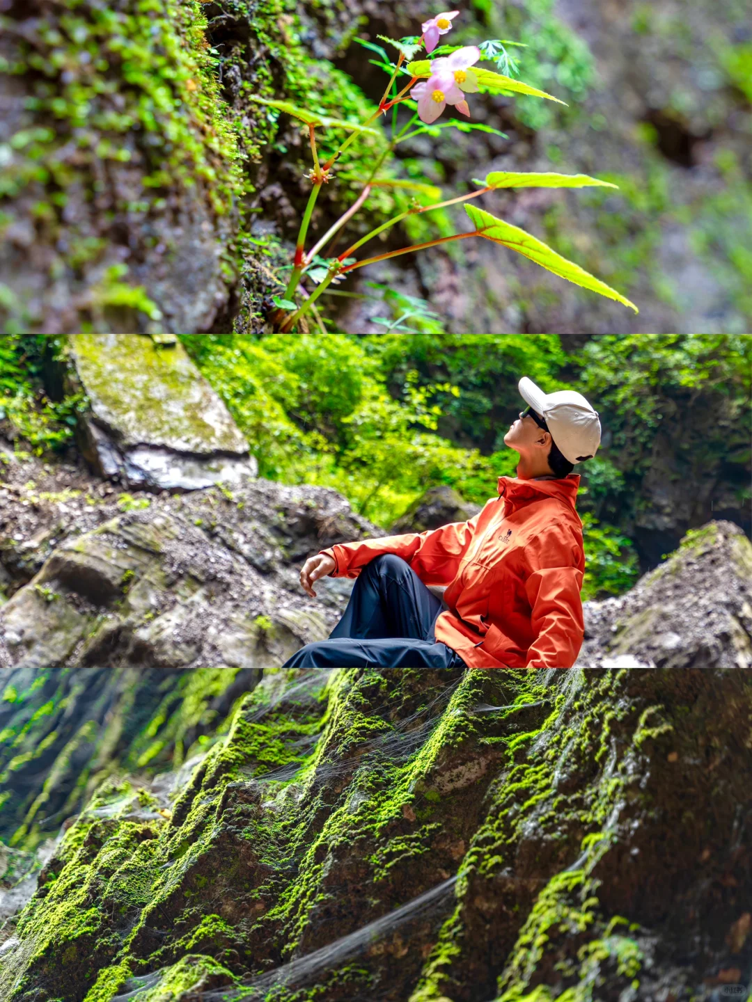 北京上春山!时隔半年的神仙大峡谷开放了🌿