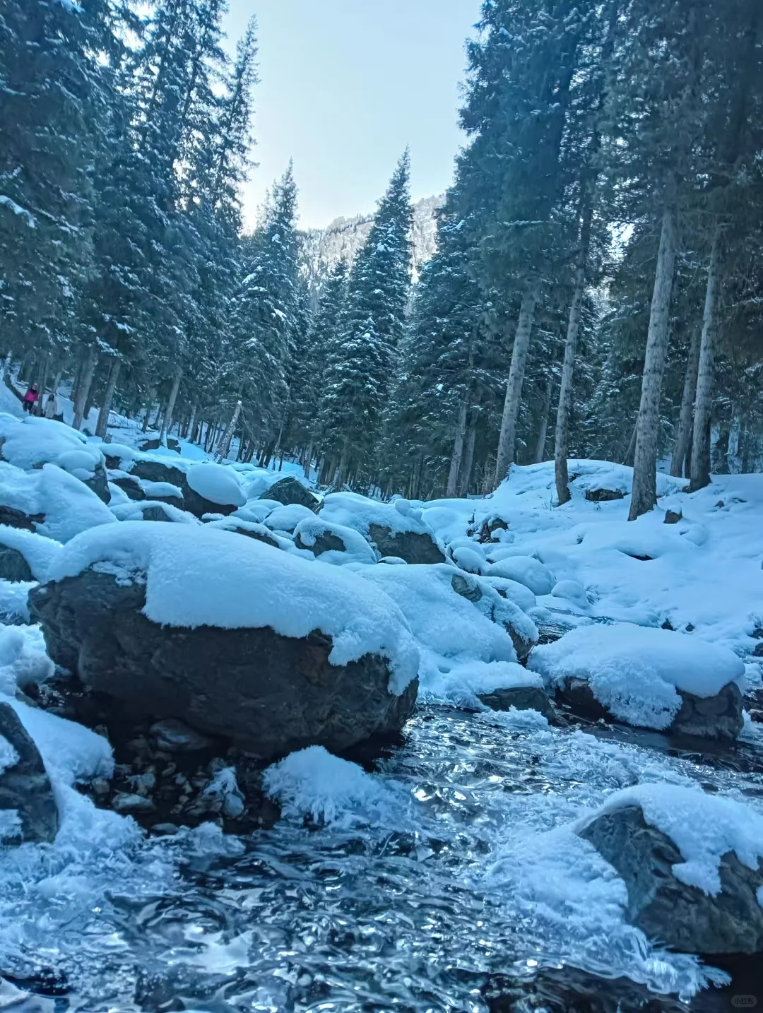 穷游党不要门票也能去天山？