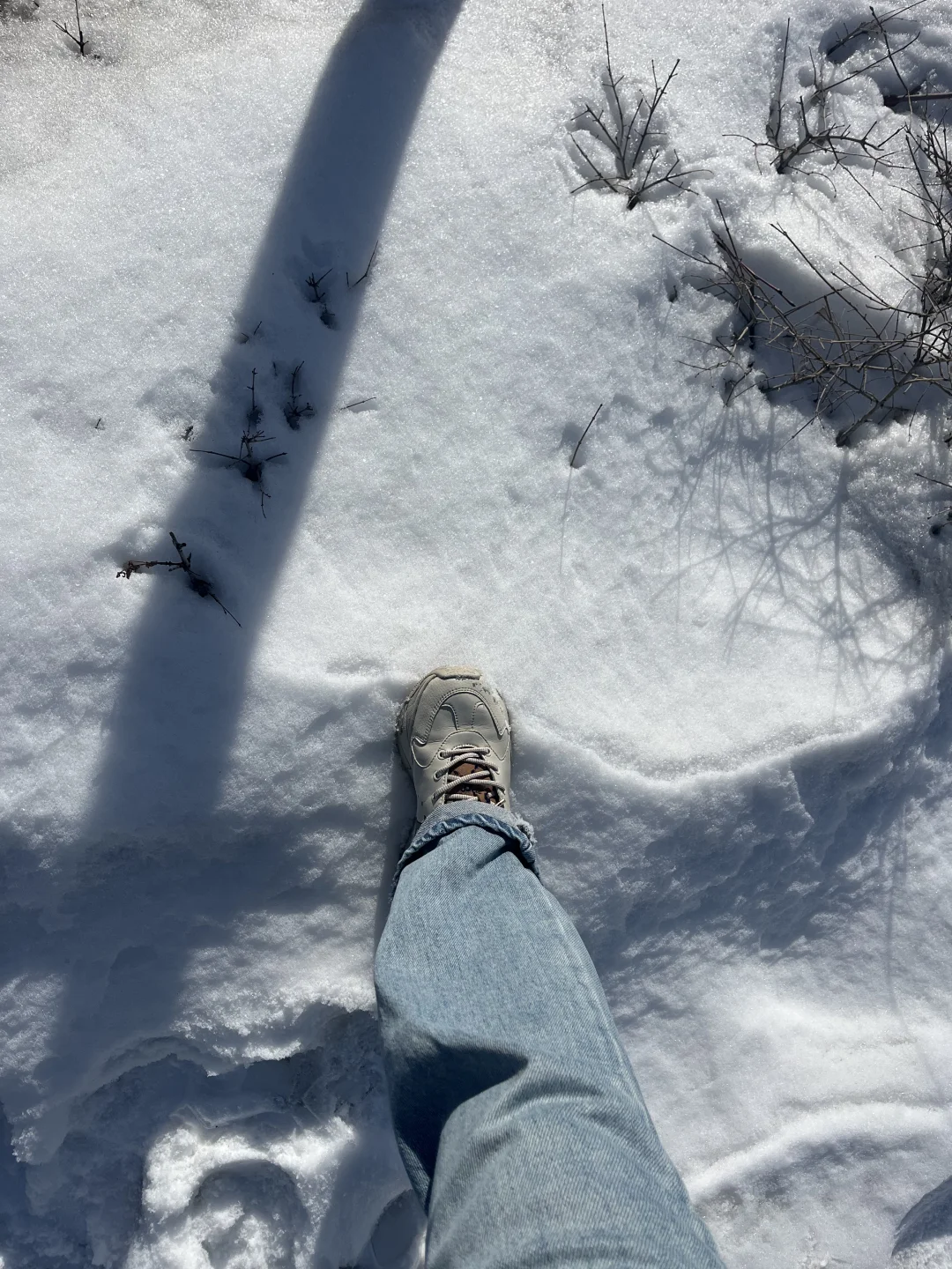 乌鲁木齐红光山免费景区太好拍了，速进！