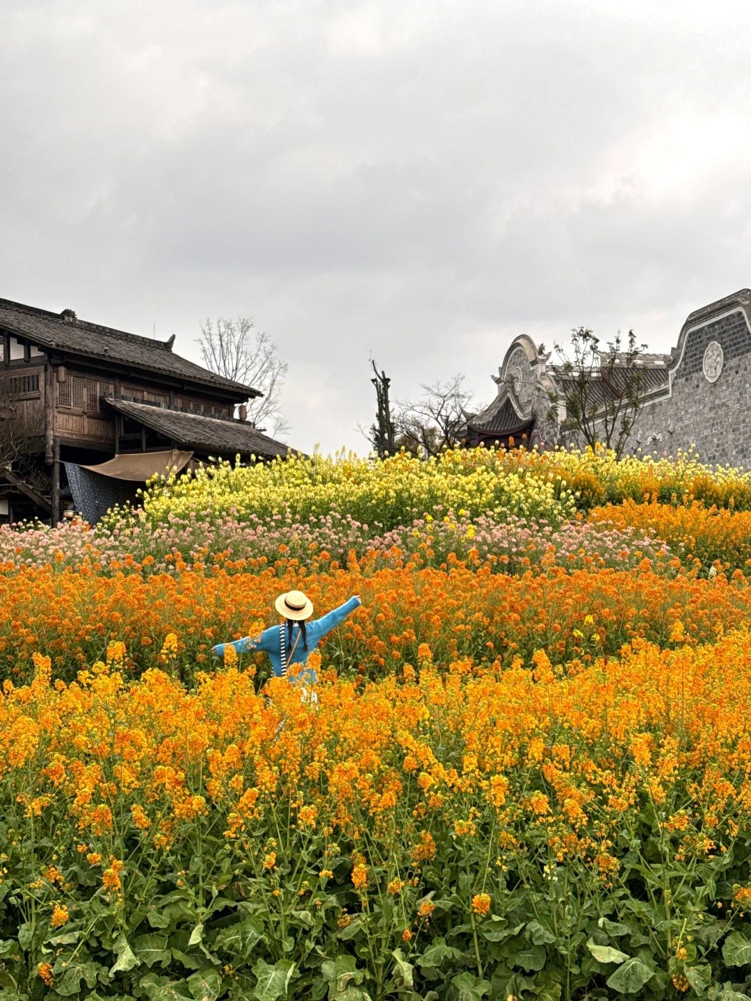 以为宜宾够美了...直到去了免费莫奈花园💐