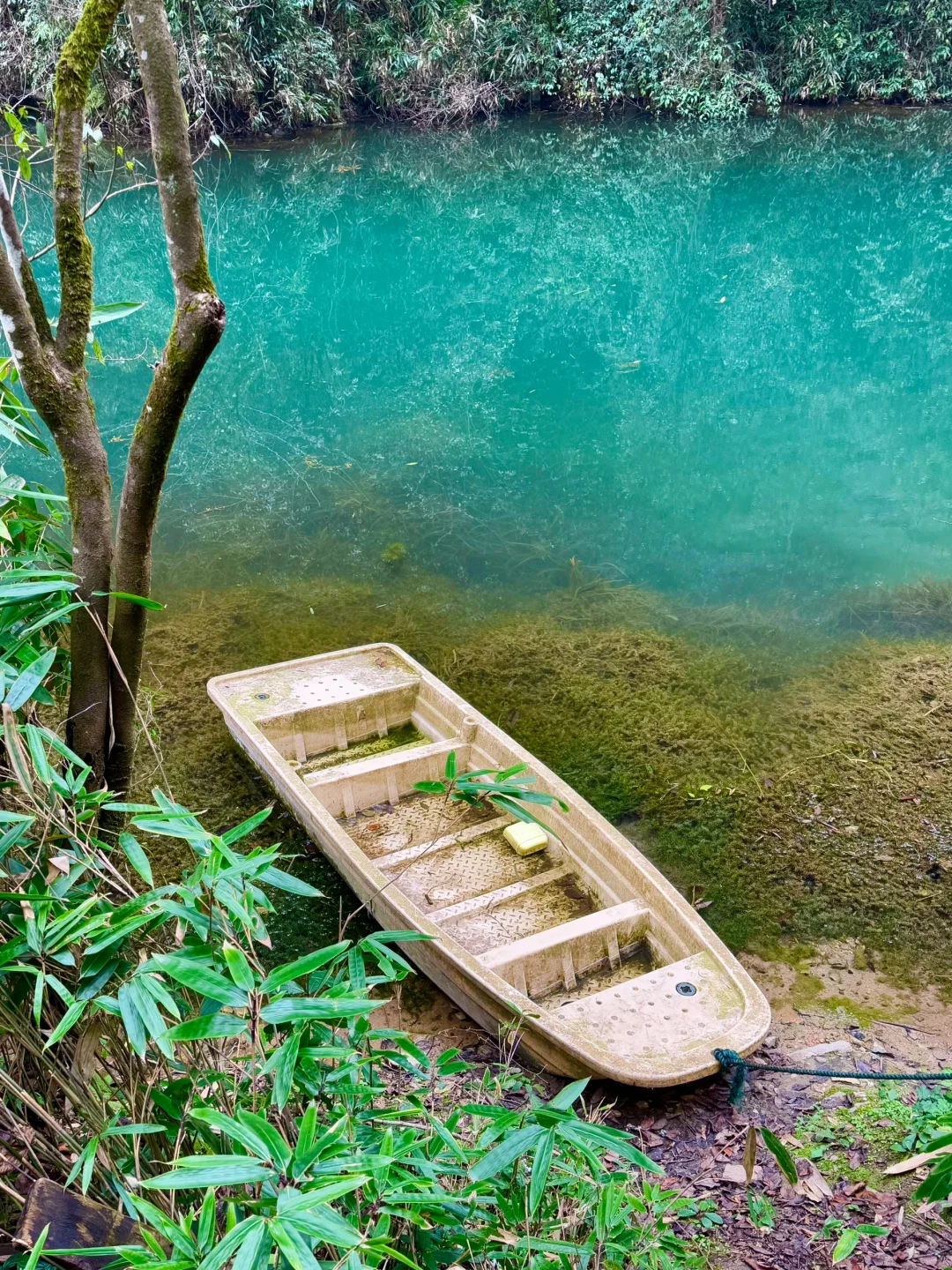 大峡谷真的是张家界最值得去的景区！（live图