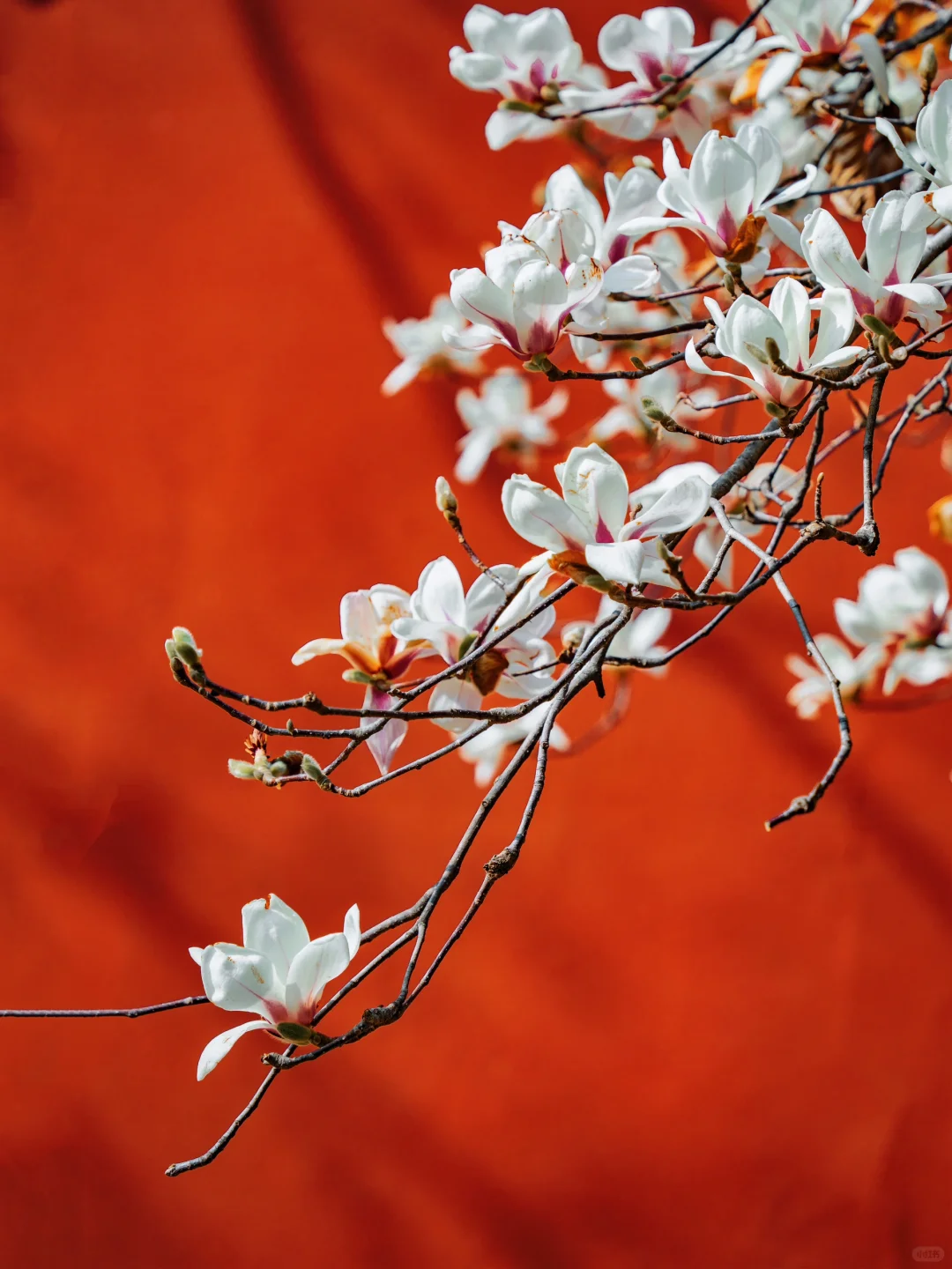 以为朝天宫已够美了，直到我去了一趟这里…