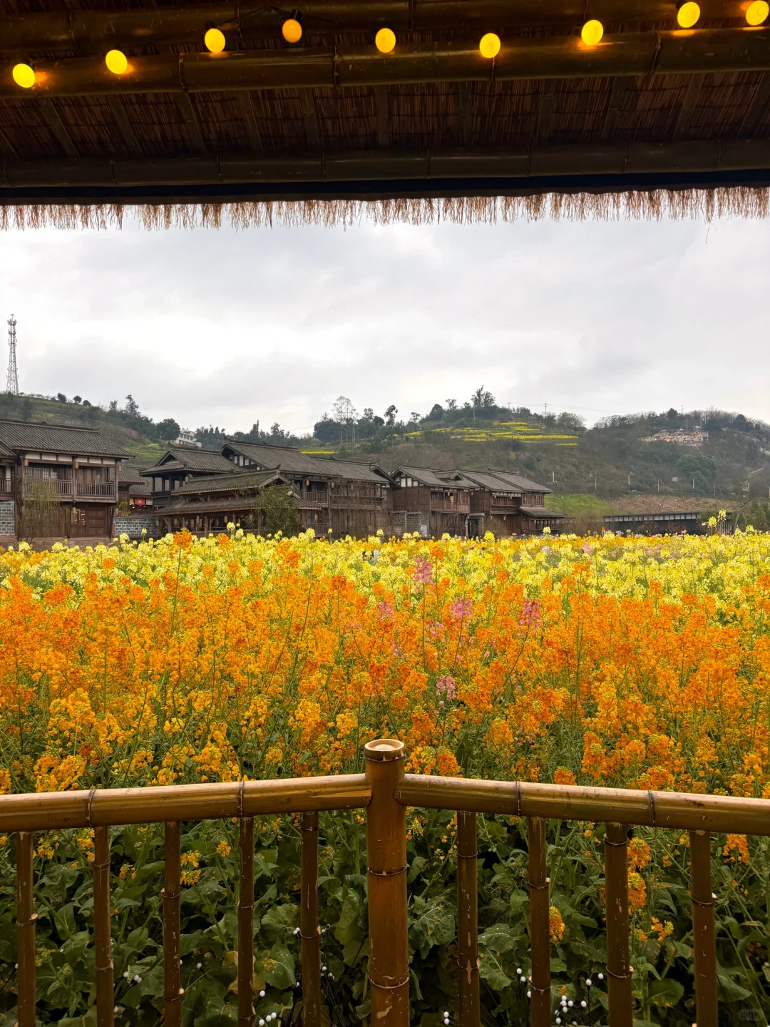 以为宜宾够美了...直到去了免费莫奈花园💐