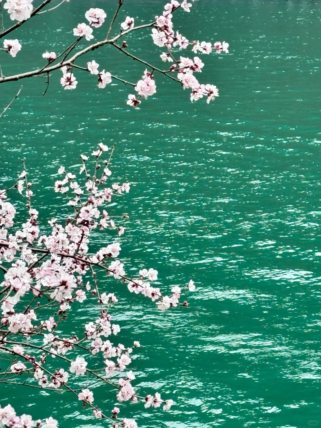 河南新乡宝泉一日游 一人超级随心版