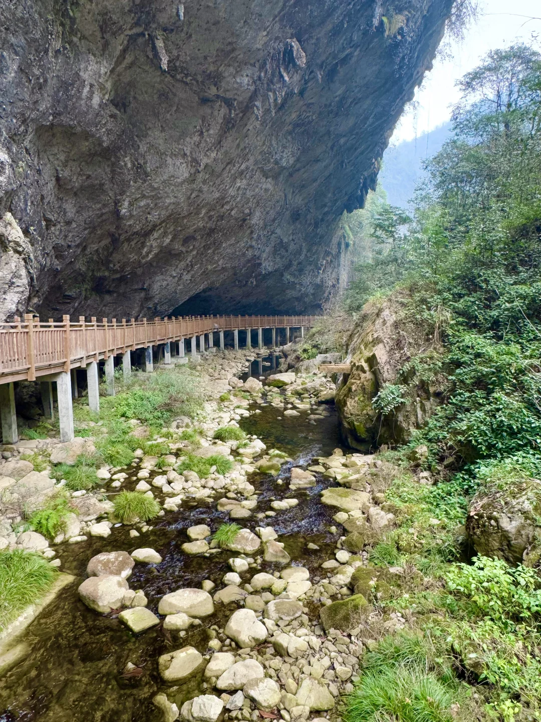 大峡谷真的是张家界最值得去的景区！（live图