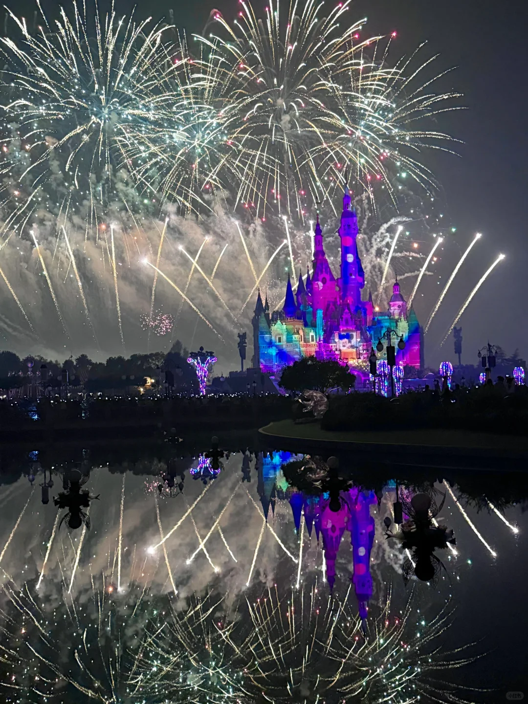 为了这18张live图 我专门飞了趟上海...