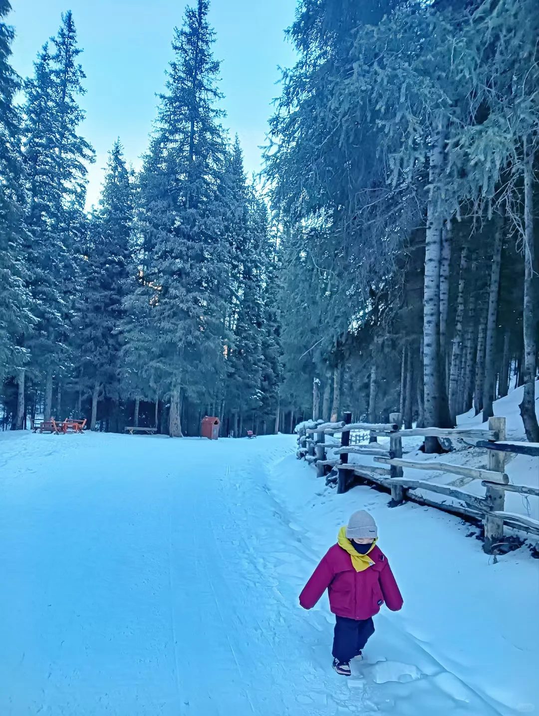 穷游党不要门票也能去天山？