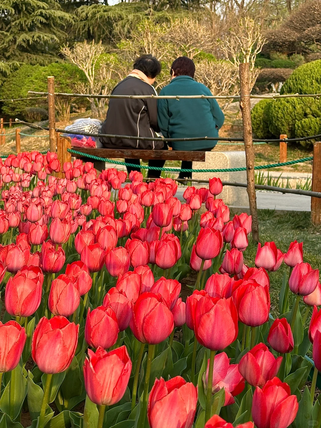 济南。。。果然最牛逼的地方都是免费的！（合集）