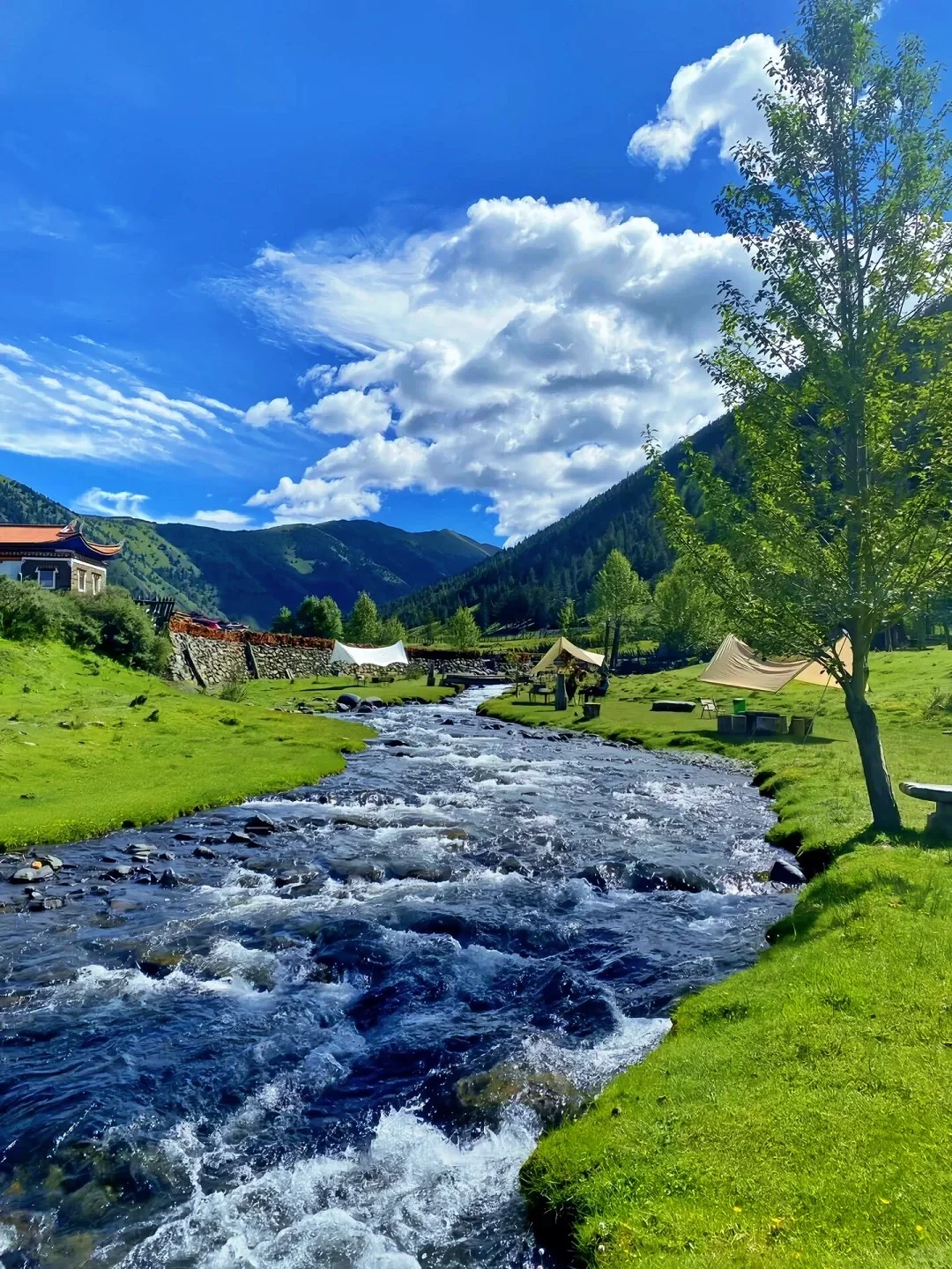 四姑娘山豪赌成功！美过瑞士🏞的夏日氧吧‼️