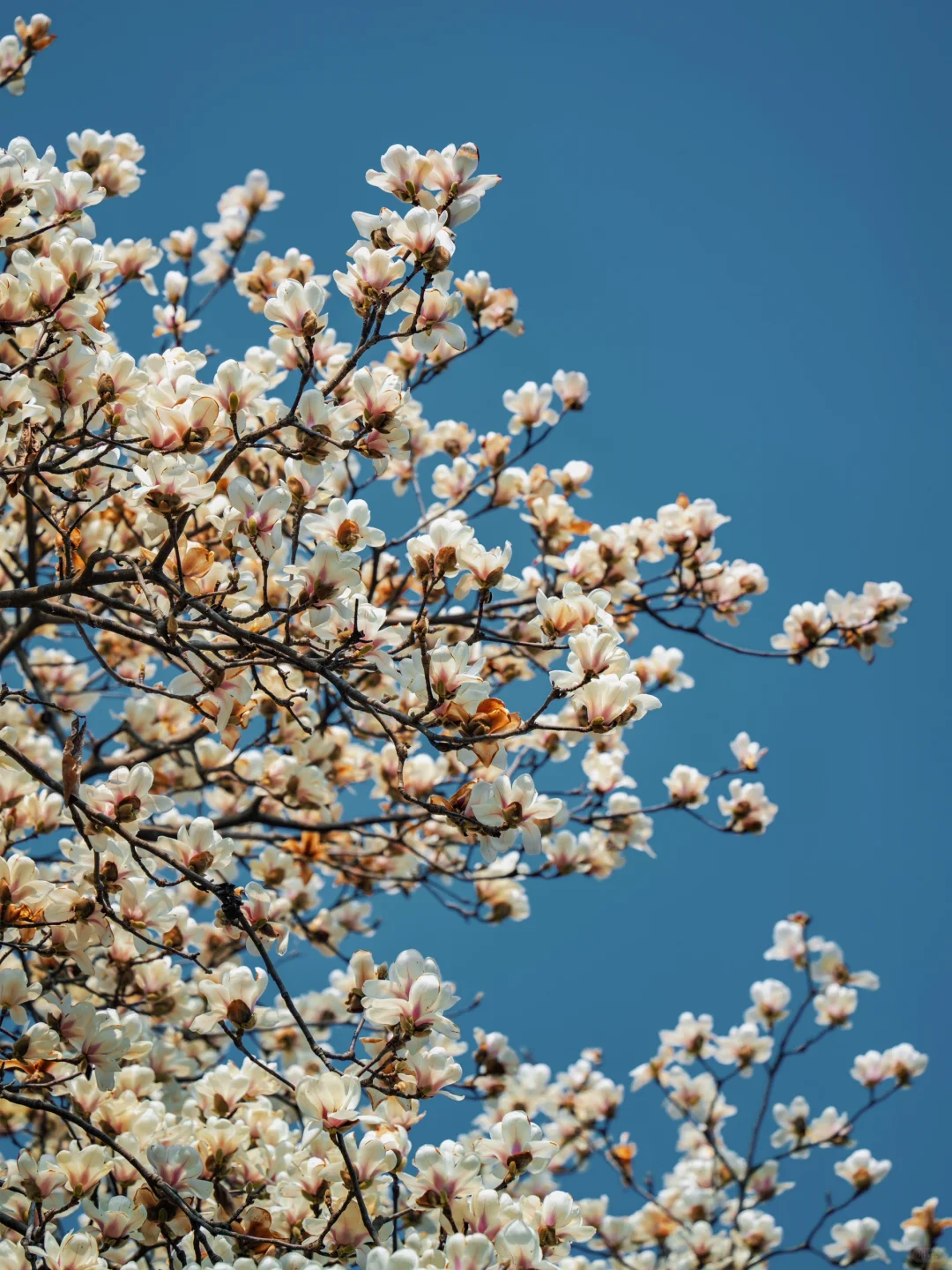 以为朝天宫已够美了，直到我去了一趟这里…