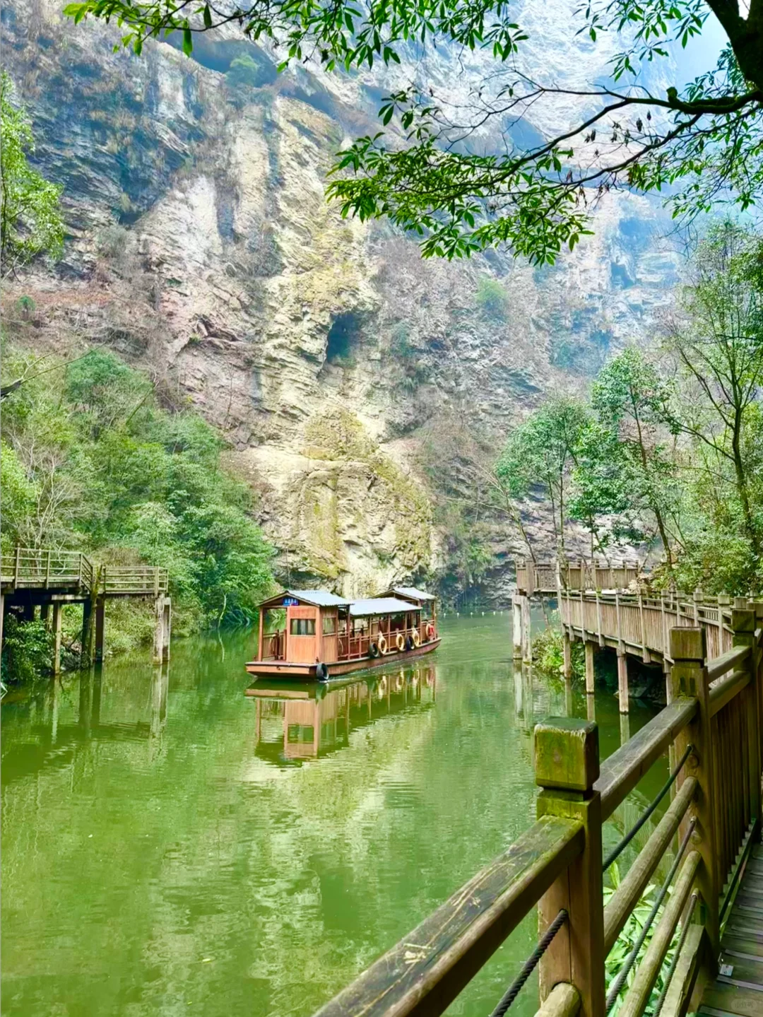 大峡谷真的是张家界最值得去的景区！（live图