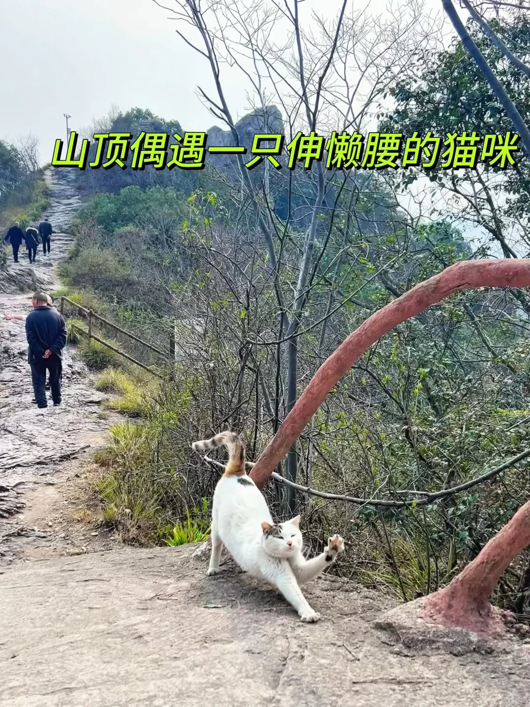 南京1小时高铁直达|这个被低估的宝藏景点