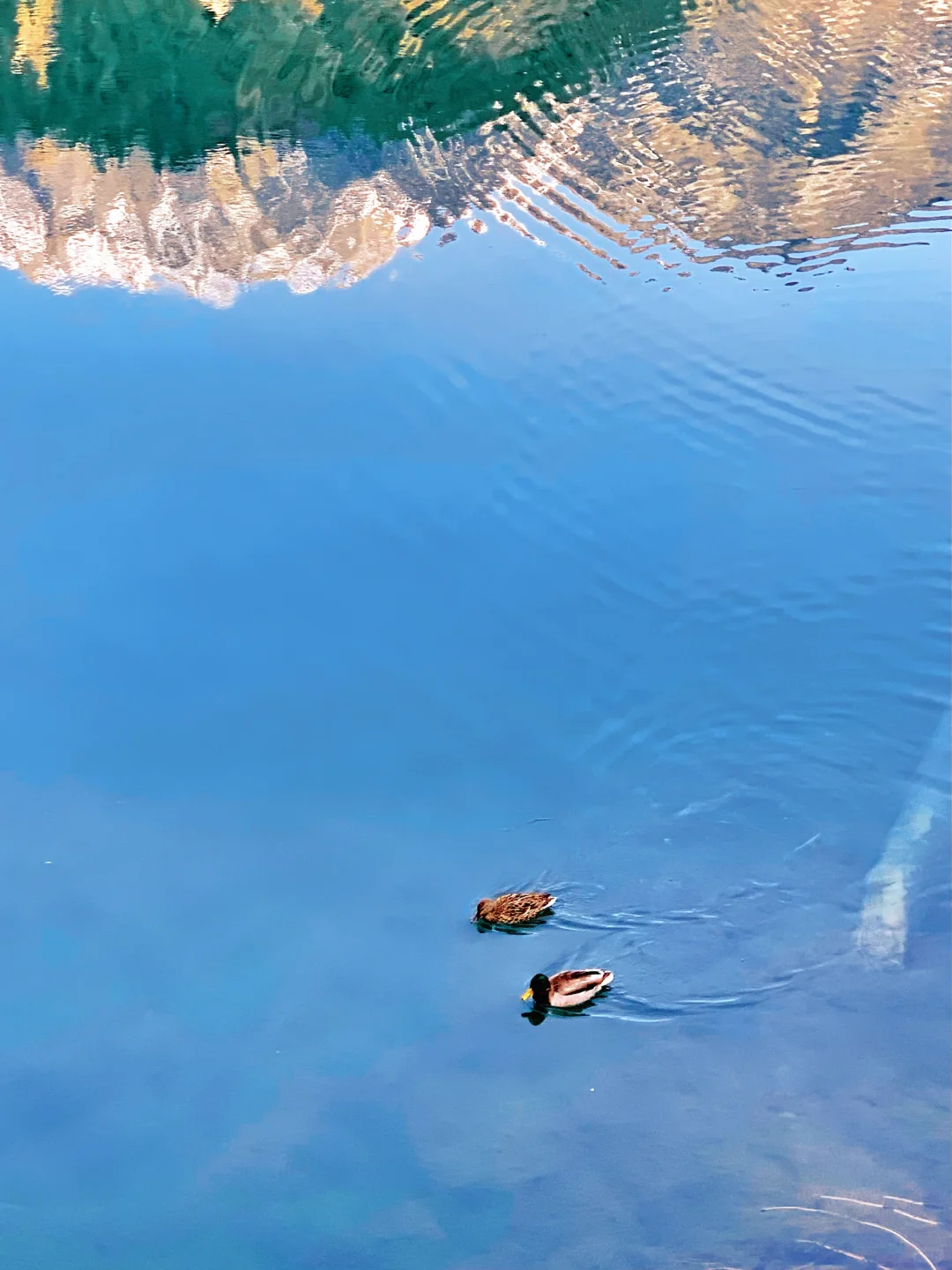 不愧是5A级景区的天花板👍接下来美到爆炸💥