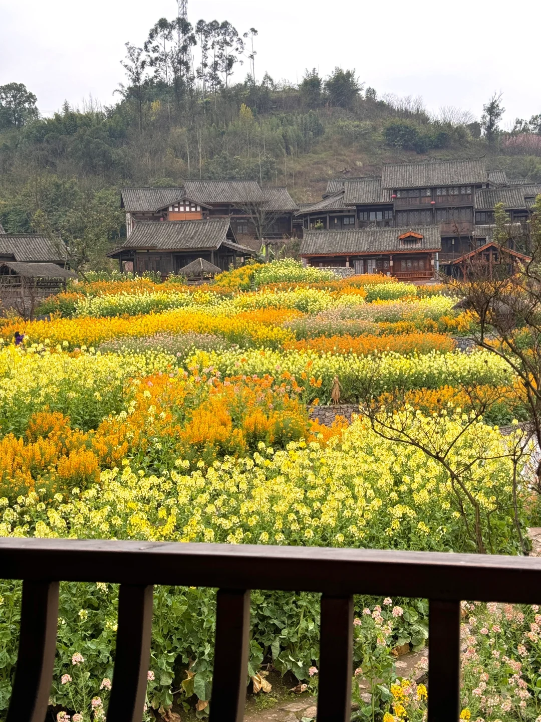 以为宜宾够美了...直到去了免费莫奈花园💐