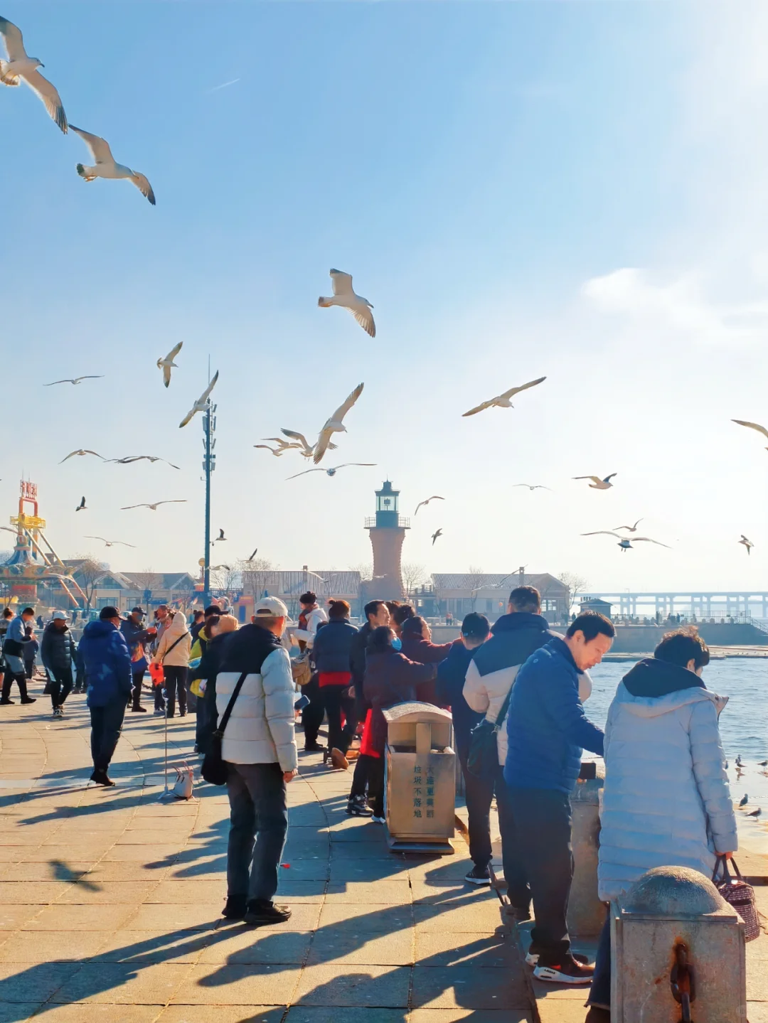 去了大连,朋友以为我去了国外