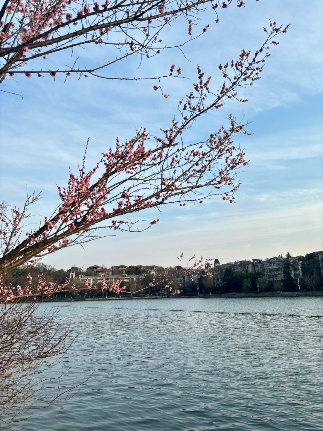 📍珍珠泉景区｜含氧量💯的宝藏景点