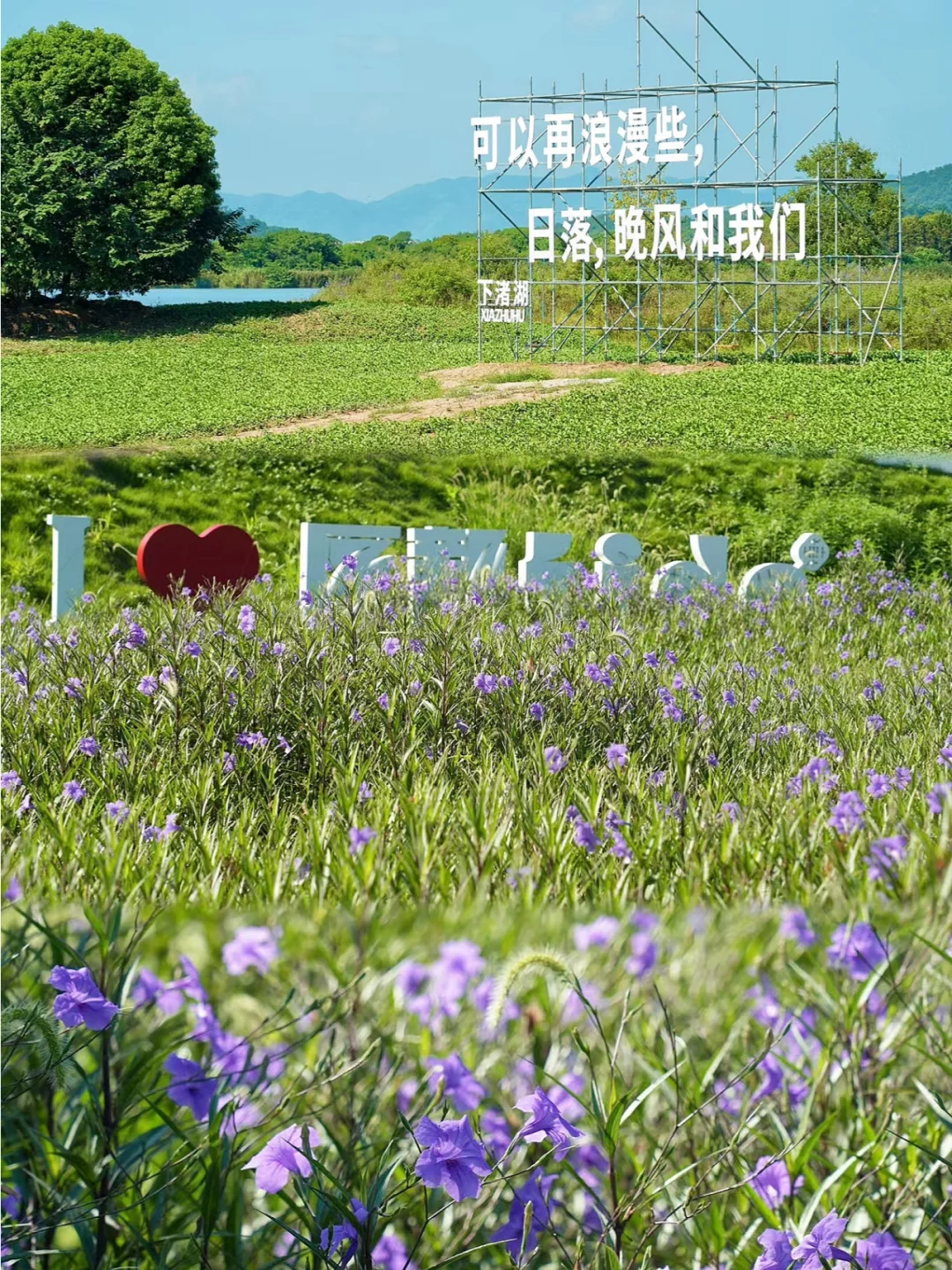 ✨杭州出发!湖州景区直通车全攻略🚗