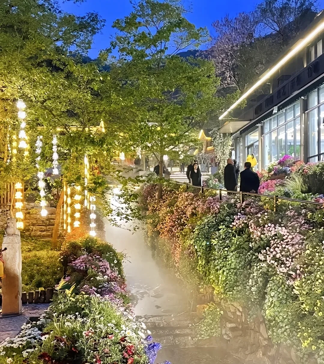 城市中的桃花源
