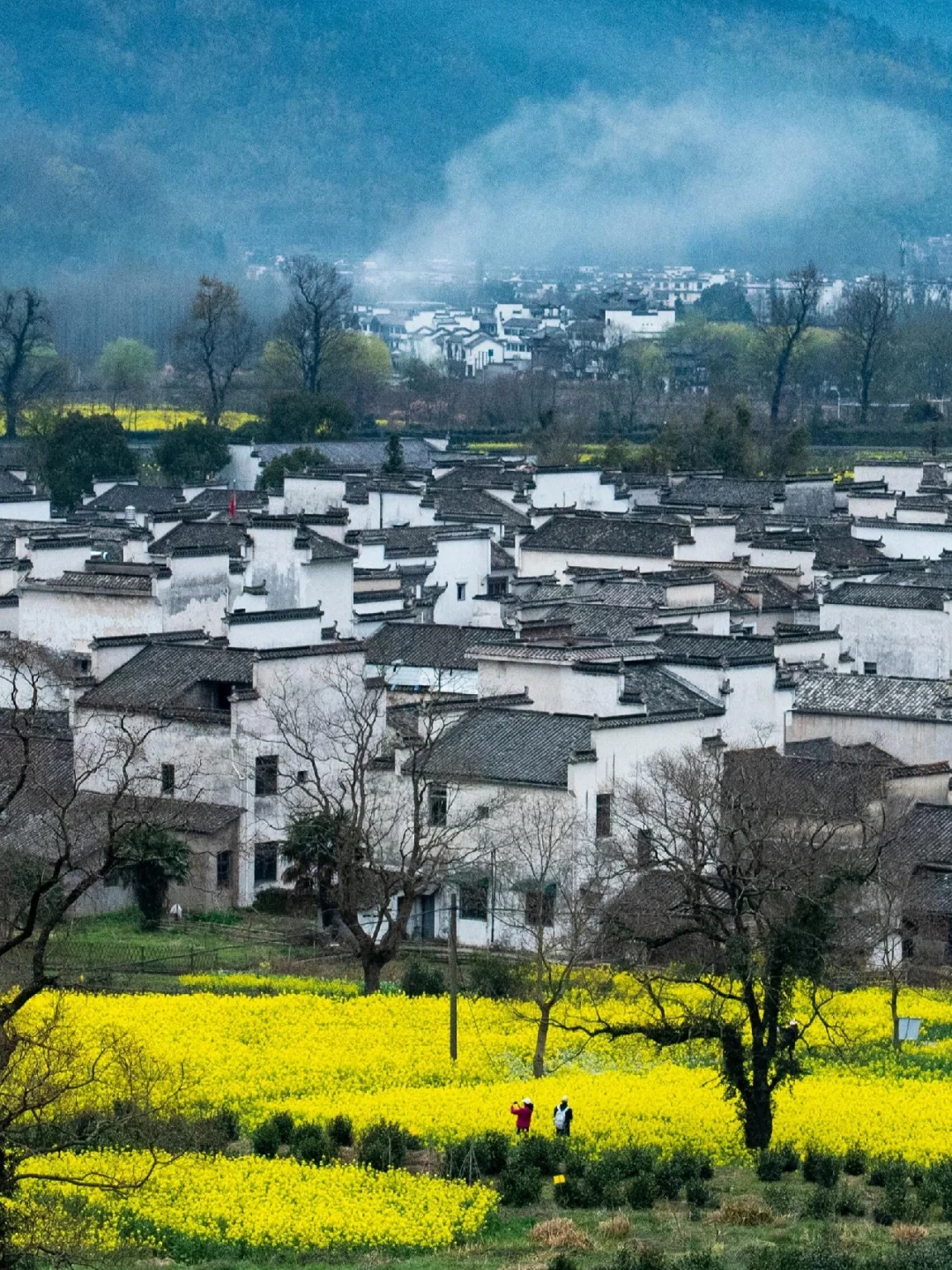《国家地理》真的没骗我！美到窒息的古村！