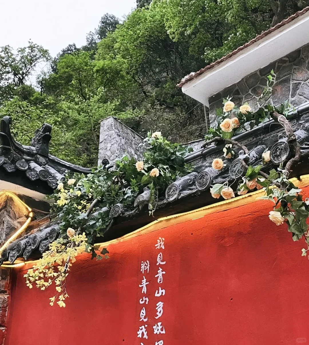 城市中的桃花源
