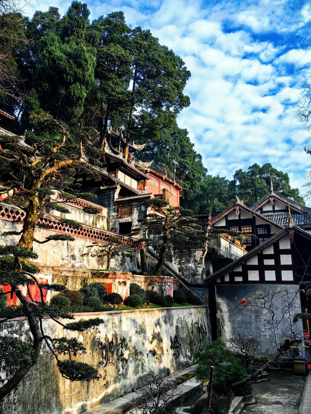 🌳都江堰+青城山 | 超详细游玩账本📖,速看
