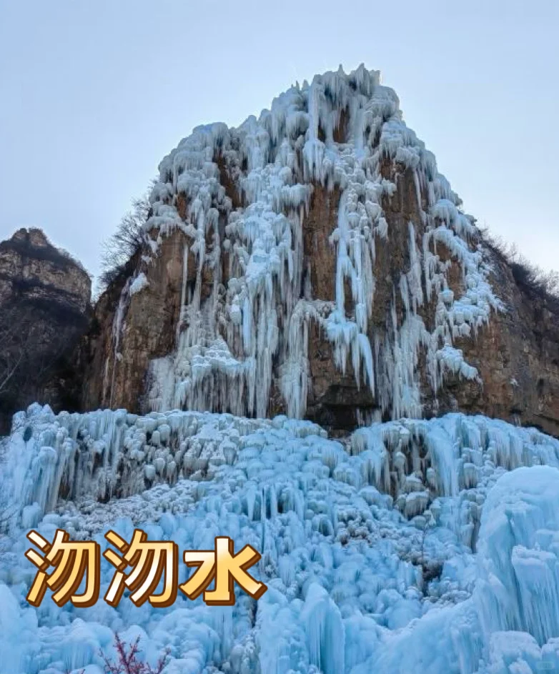 2025三八女神节🔥石家庄及周边免费福利🧧