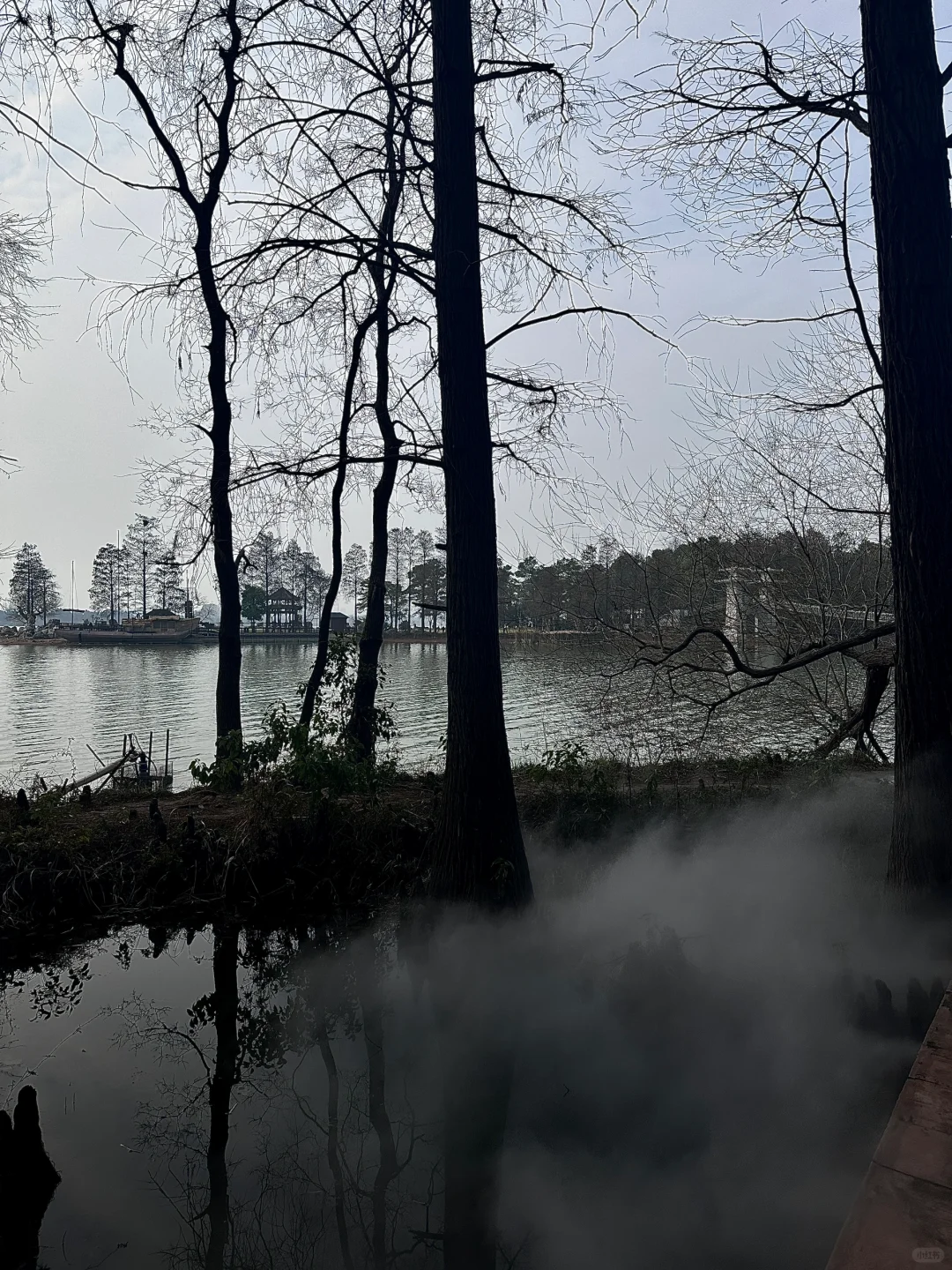 生命是一万次的春和景明✨