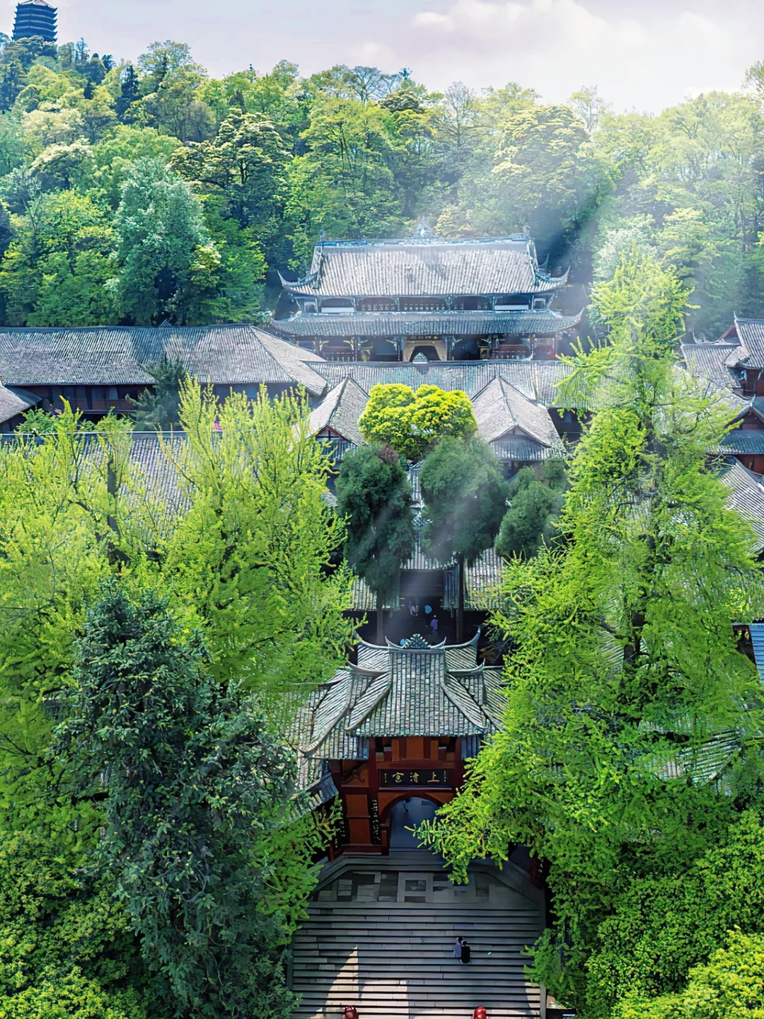 🌳都江堰+青城山 | 超详细游玩账本📖,速看