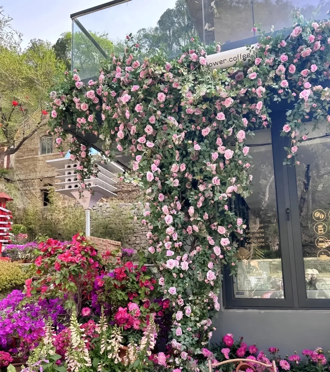 城市中的桃花源