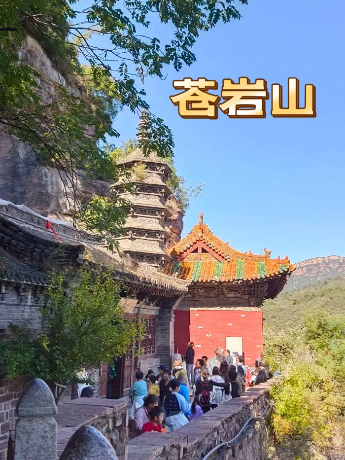 2025三八女神节🔥石家庄及周边免费福利🧧