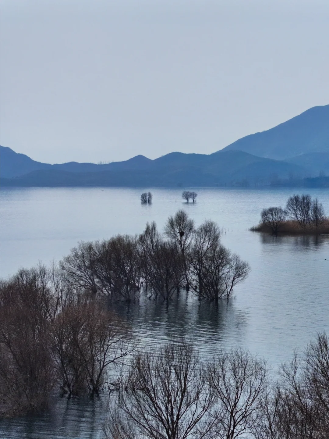 石家庄1h,遇见梦中“情岛”-岗南水库🌊
