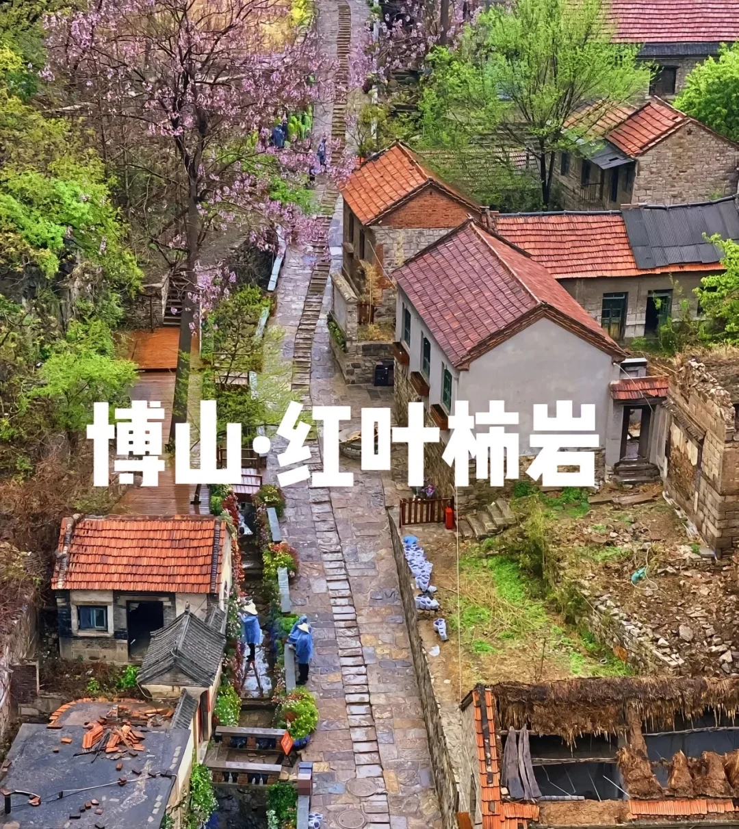 城市中的桃花源